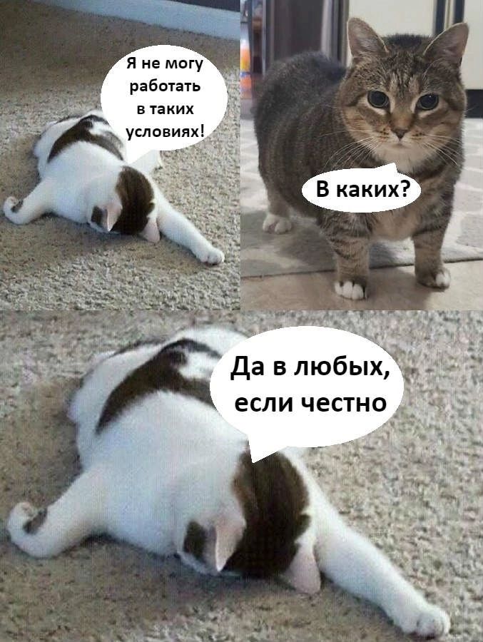 Я не могу работать в таких