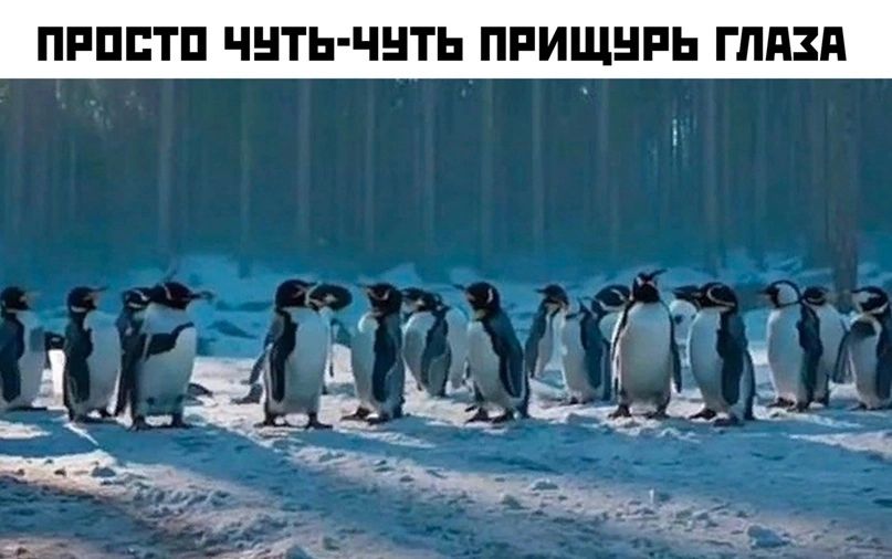 ПРОСТО ЧУТЬ ЧУТЬ ПРИЩУРЬ ГЛАЗА