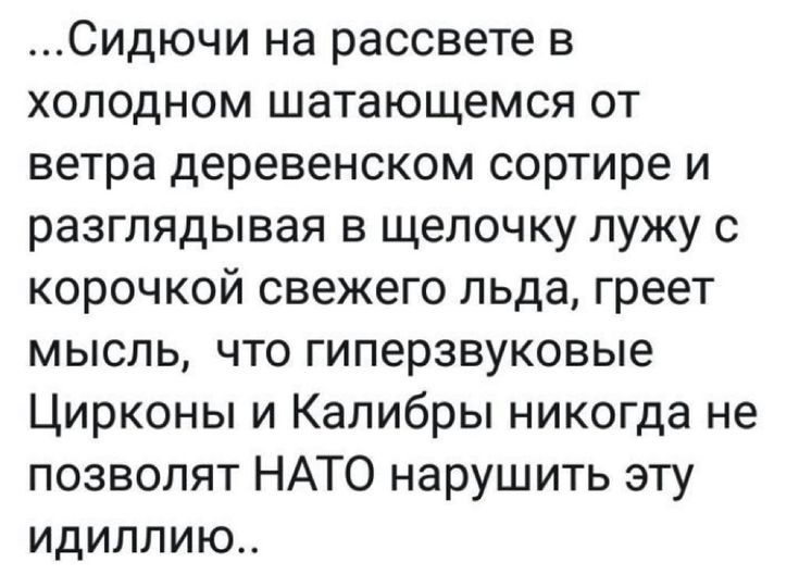 Сидючи на рассвете в холодном шатающемся от ветра деревенском сортире и разглядывая в щелочку лужу с корочкой свежего льда греет мысль что гиперзвуковые Цирконы и Калибры никогда не позволят НАТО нарушить эту идиллию