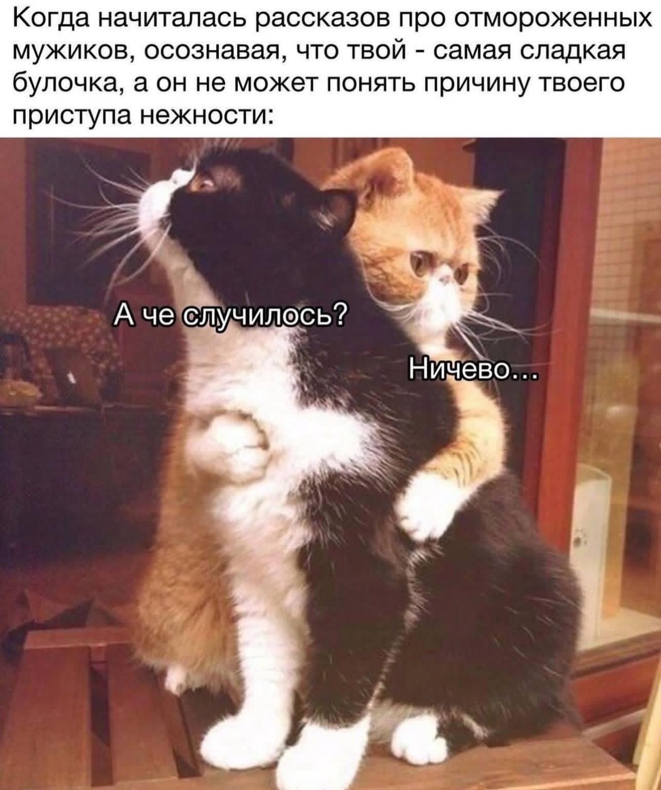 Когда начиталась рассказов про отмороженных мужиков осознавая что твой самая сладкая булочка а он не может понять причину твоего приступа нежности