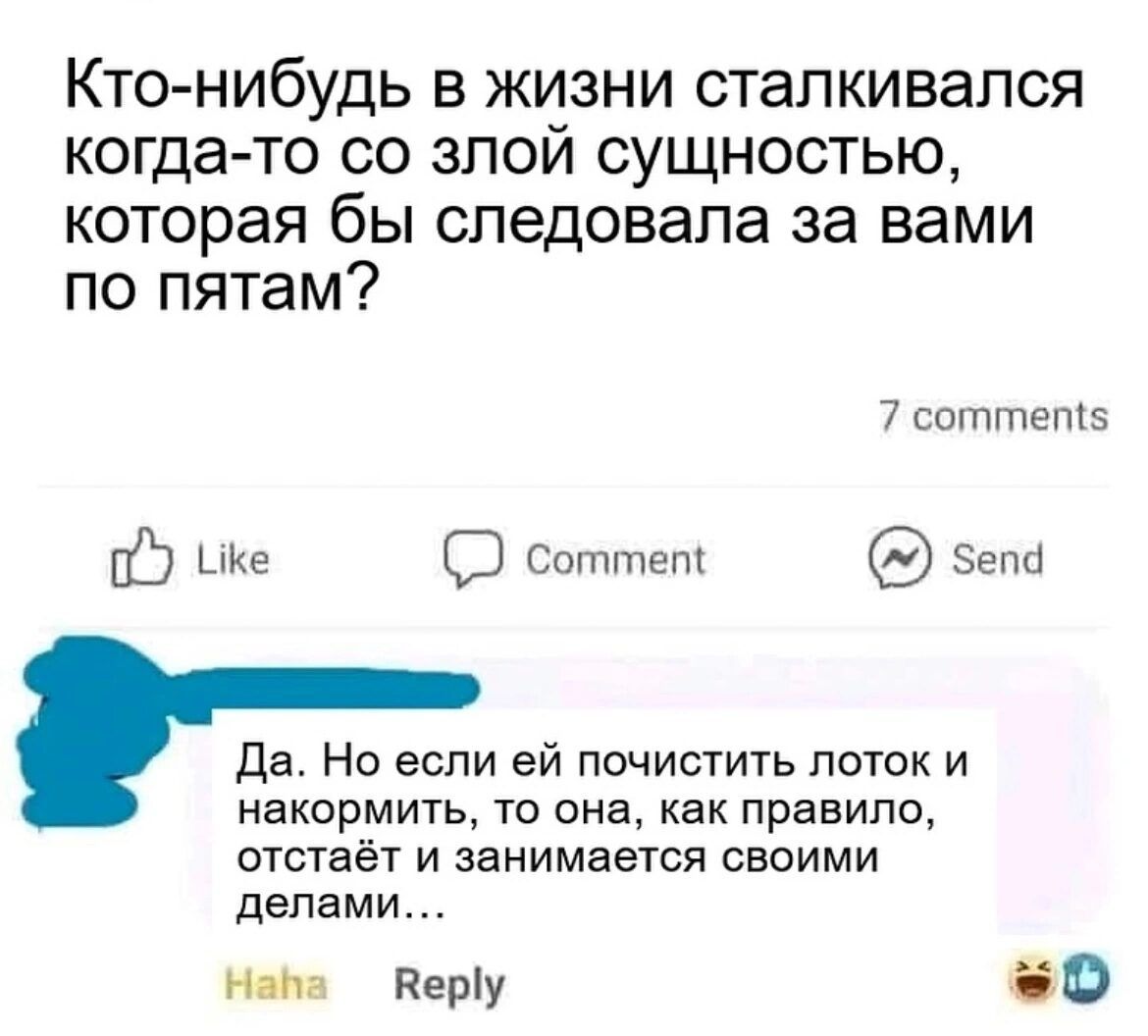 Кто нибудь в жизни сталкивался когда то со злой сущностью которая бы следовала за вами по пятам 7 сотгтет5 07 ке СЭ соттеп зепа Да Но если ей почистить лоток и накормить то она как правило отстаёт и занимается своими делами Нава Веру