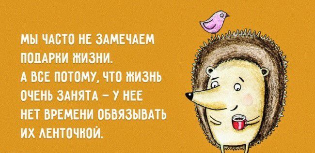 МЫ ЧАСТО НЕ ЗАМЕЧАЕМ ПОДАРКИ ЖИЗНИ А ВСЕ ПОТОМУ ЧТО ЖИЗНЬ ОЧЕНЬ ЗАНЯТА У НЕЕ НЕТ ВРЕМЕНИ ОБВЯЗЫВАТЬ ИХ ЛЕНТОЧОЙ