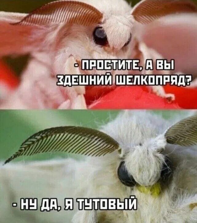 ЕННЕ у нУДАЙяДетОвЕ