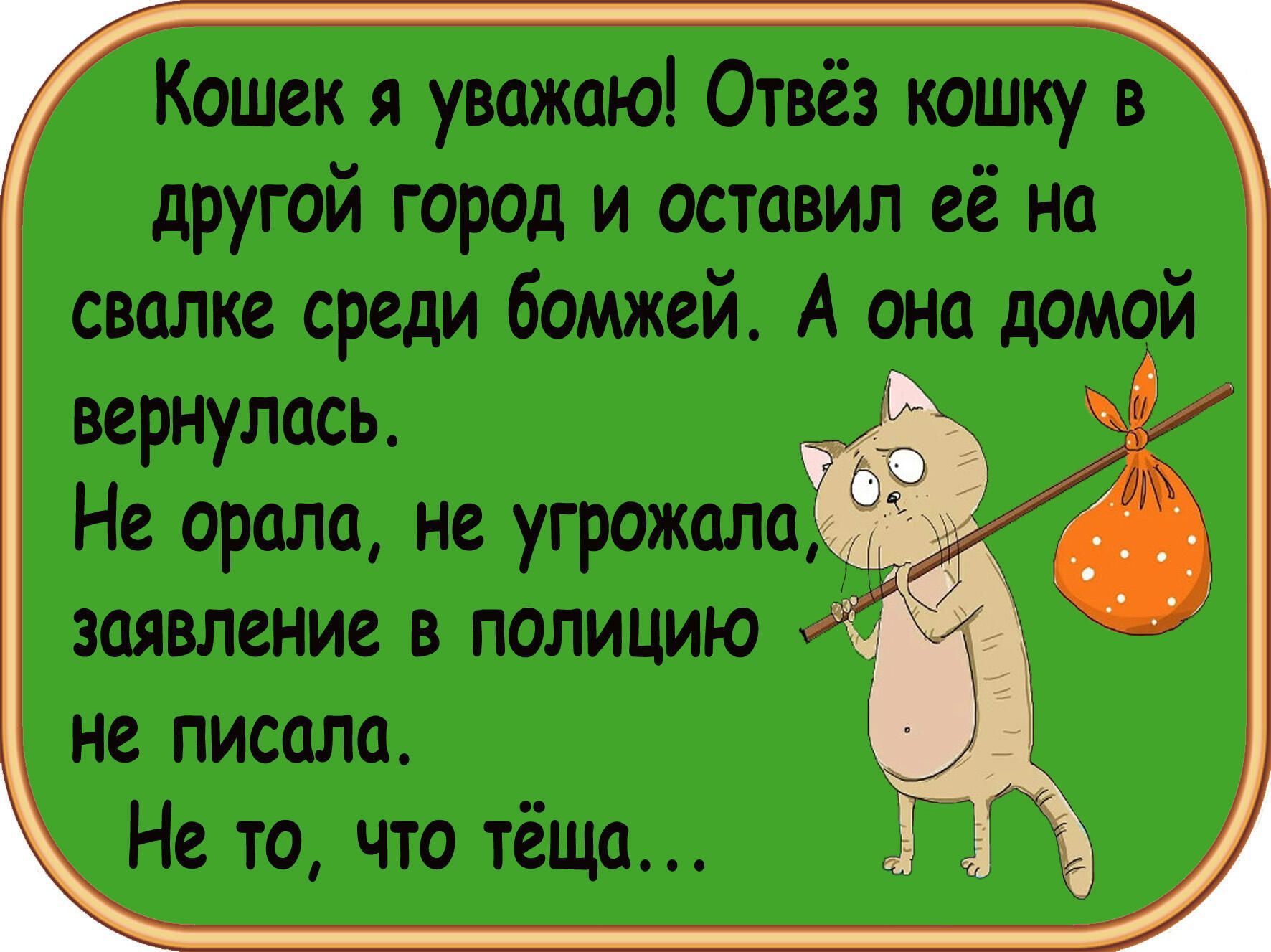Кошек я увожаю Отвёз кошку в другой город и оставил её на свалке среди бомжей А она домой вернулась Не орала не угрожапа заявление в полициЮ не писола Не то что тёщо
