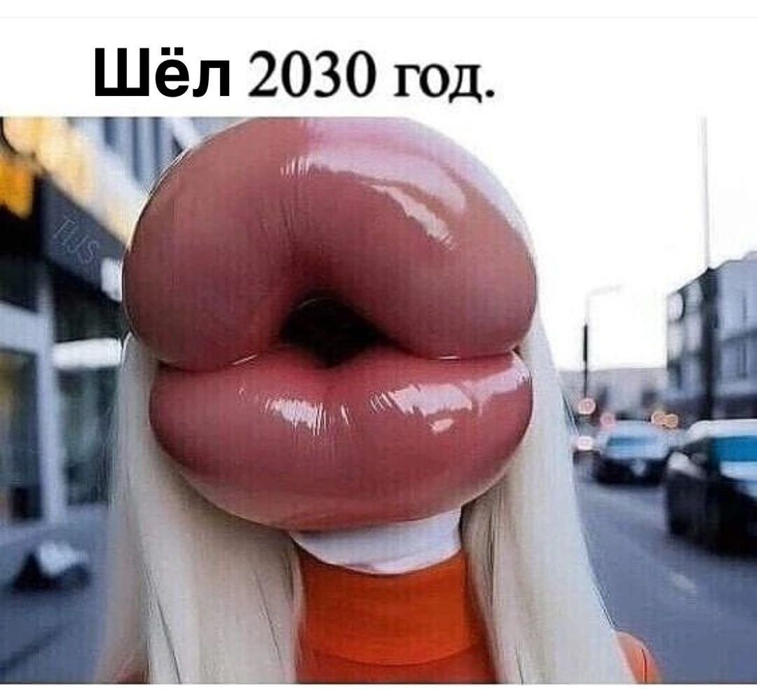 Шел 2030 год