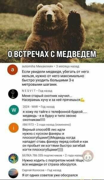 ОВСТРЕЧАХ С МЕДВЕДЕМ амотуна Михаилкин 3 месяца нозад Если увидели медведя убегать от него нельзя нужно от него максимально быстро уходить большими З метровыми шагами МЕЗУТ Год назад Меня старый охотник научил Насераешь кучу и за неё прячешься 2024 МАЯ Год назад Ф я хожу по тайге с телефонной будкой медведь я в будку и типо звоню охотникам 1861973 