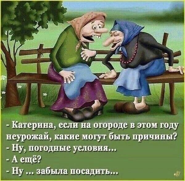 катерина, еслизнаогороде в этом году неурожай, какие мотут быть причины?.  Ну, погодные условия,..  А ещё?.  Ву... Забыла посадить...