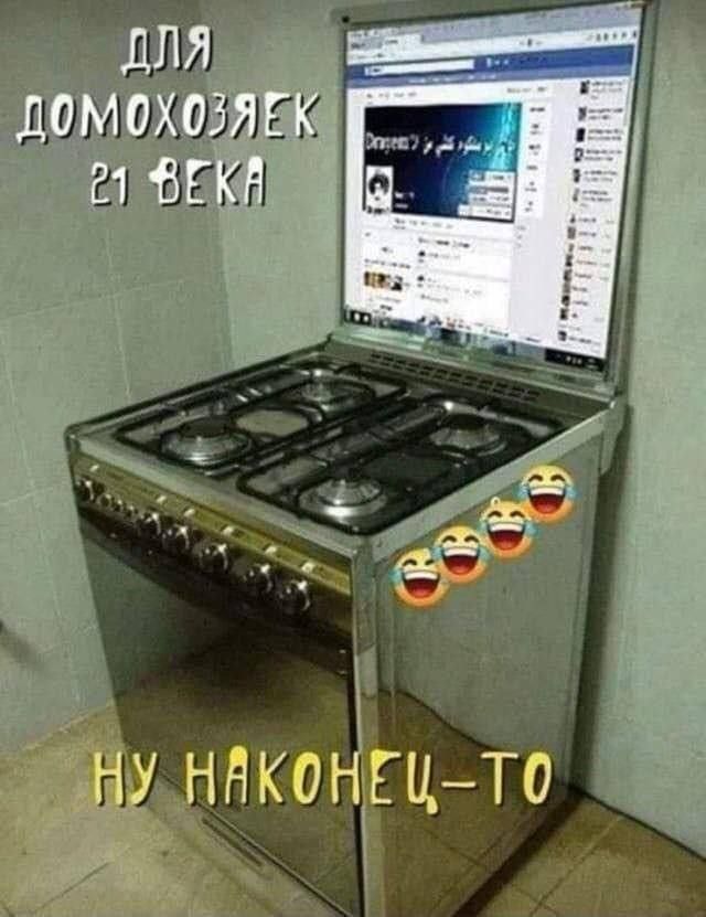 Кон  у домохог явк е эёк