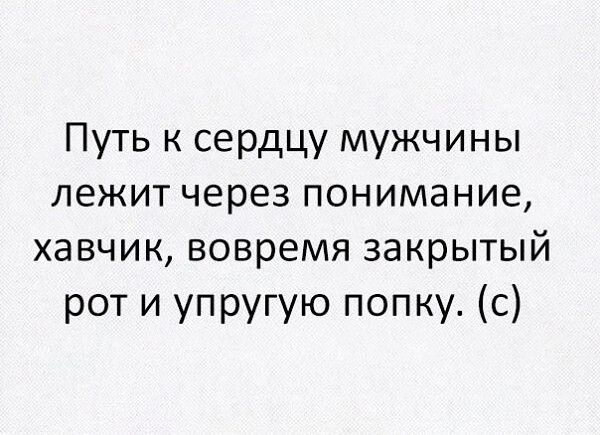 Путь к сердцу мужчины лежит через понимание, хавчик, вовремя закрытый рот и упругую попку. (c)
