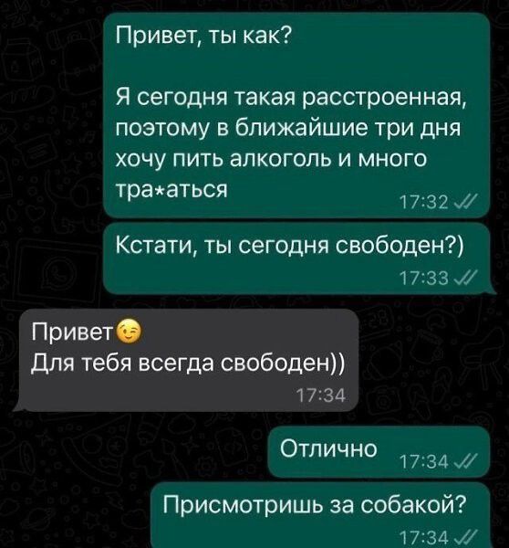 Привет, ты как?
Я сегодня такая расстроенная, поэтому в ближайшие три дня хочу пить алкоголь и много тра*аться
Кстати, ты сегодня свободен?)
Привет😏
Для тебя всегда свободен))
Отлично
Присмотришь за собакой?