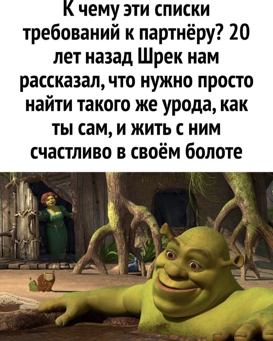 К чему эти списки требований к партнёру? 20 лет назад Шрек нам рассказал, что нужно просто найти такого же урода, как ты сам, и жить с ним счастливо в своём болоте.