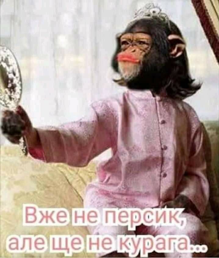 Вже не персик, але ще не курага...