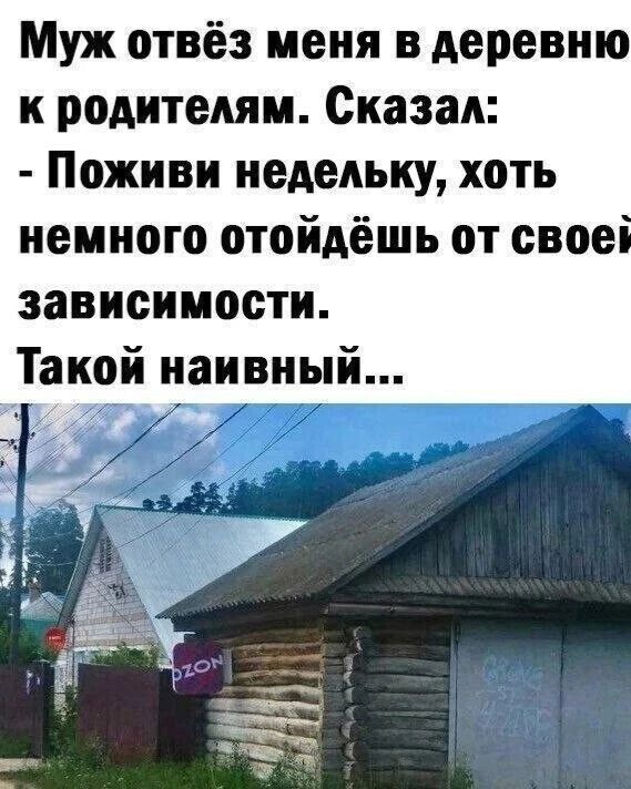 Муж отвёз меня в деревню к родителям. Сказал: - Поживи недельку, хоть немного отойдёшь от своей зависимости. Такой naivный...