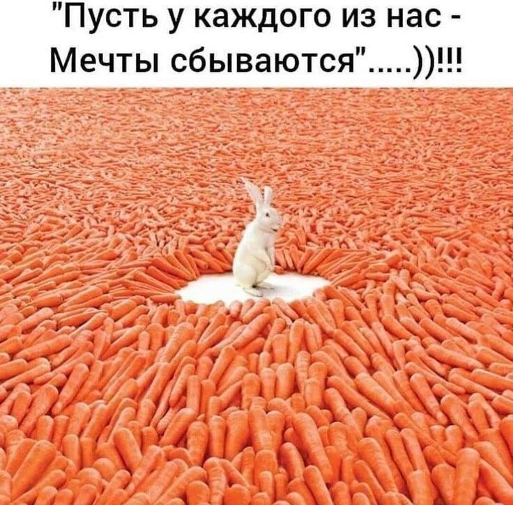 Пусть у каждого из нас - Мечты сбываются