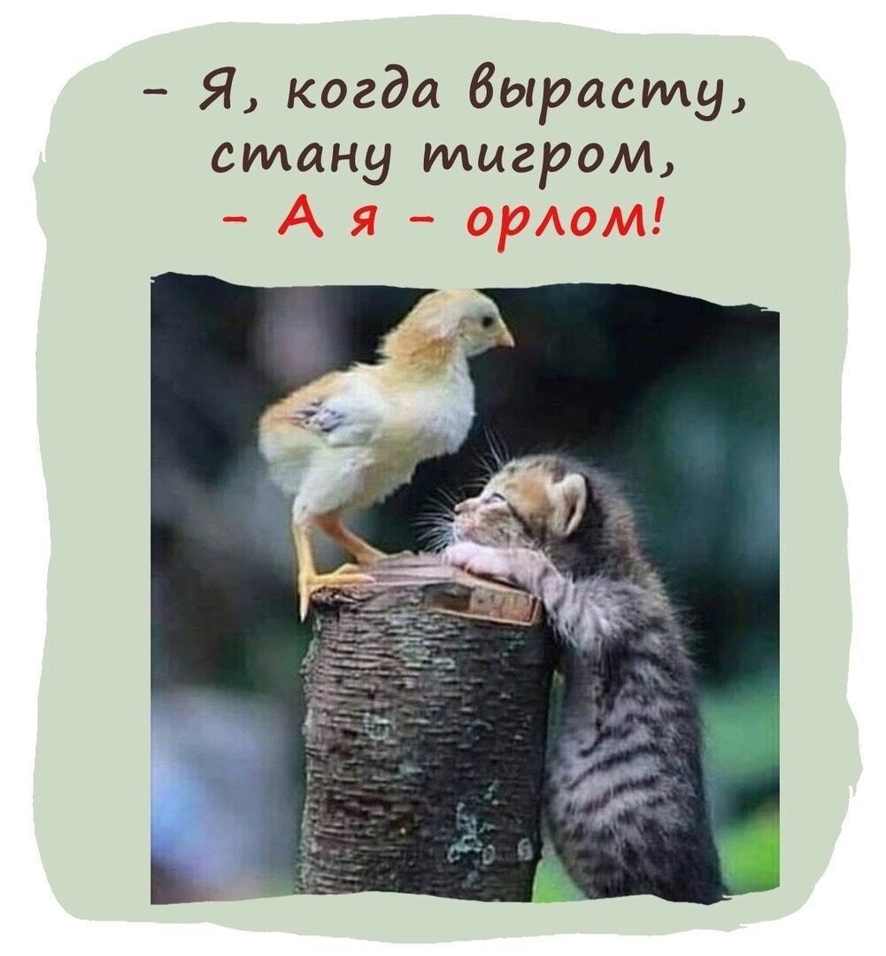 - Я, когда вырасту, стану тигром,
- А я - орлом!
