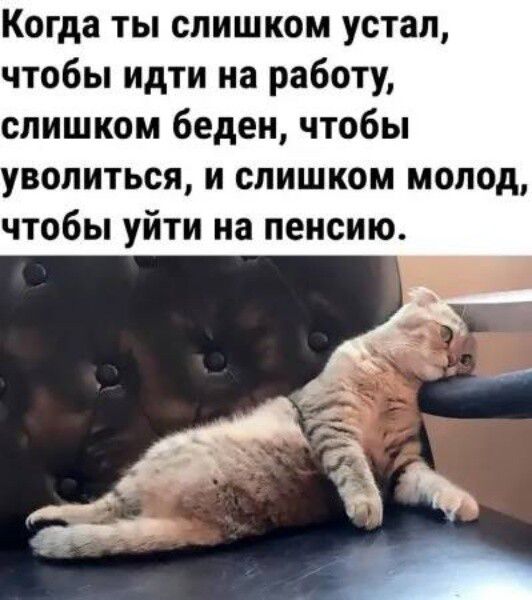 Когда ты слишком устал, чтобы идти на работу, слишком беден, чтобы уволиться, и слишком молод, чтобы уйти на пенсию.