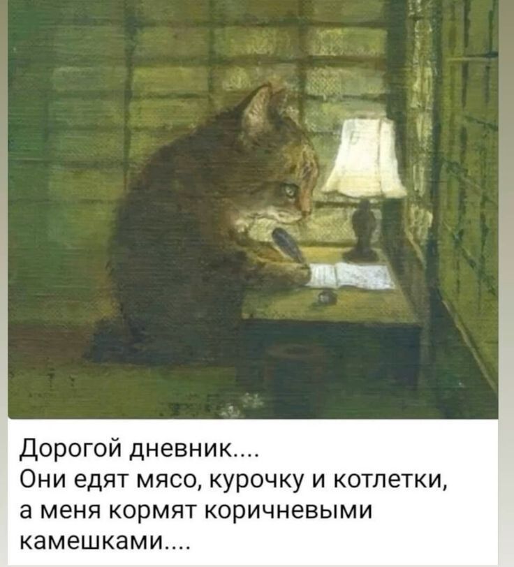 Дорогой дневник.... Они едят мясо, курочку и котлетки, а меня кормят коричневыми камешками....