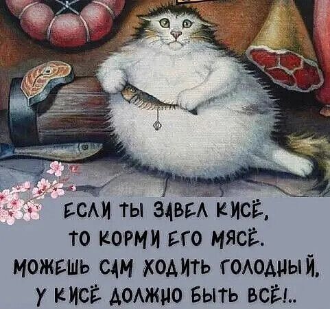 ЕСЛИ ТЫ ЗАВЕЛ КИСЕ,
ТО КОРМИ ЕГО МЯСОМ.
МОЖЕШЬ САМ ХОДИТЬ ГОЛОДНЫЙ,
У КИСЬЕ ДОЛЖНО БЫТЬ ВСЁ!..