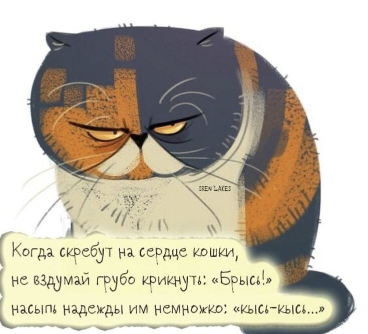 Когда скребут на сердце кошки, не вздумай грубо крикнуть: 