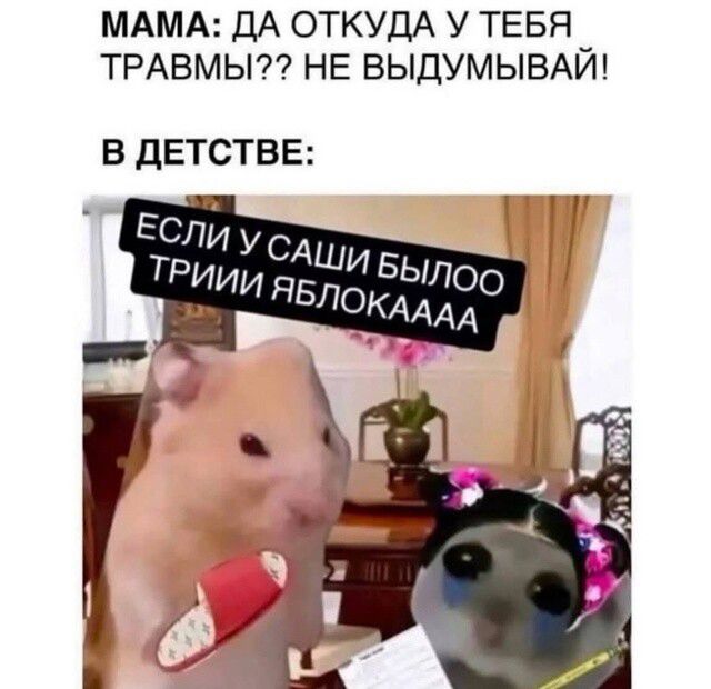 МАМА: ДА ОТКУДА У ТЕБЯ ТРАВМЫ?? НЕ ВЫДУМЫВАЙ! В ДЕТСТВЕ: ЕСЛИ У САШИ БЫЛО ТРИ И ЯБЛОКАААА