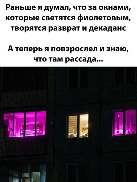 Раньше я думал, что за окнами, которые светятся фиолетовым, творятся разврат и декаданс
А теперь я повзрослел и знаю, что там рассада...