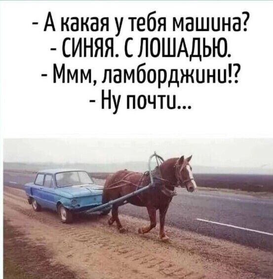 А какая у тебя машина?
- СИНЯЯ. С ЛОШАДЬЮ.
- Ммм, ламборджини!? 
- Ну почти...