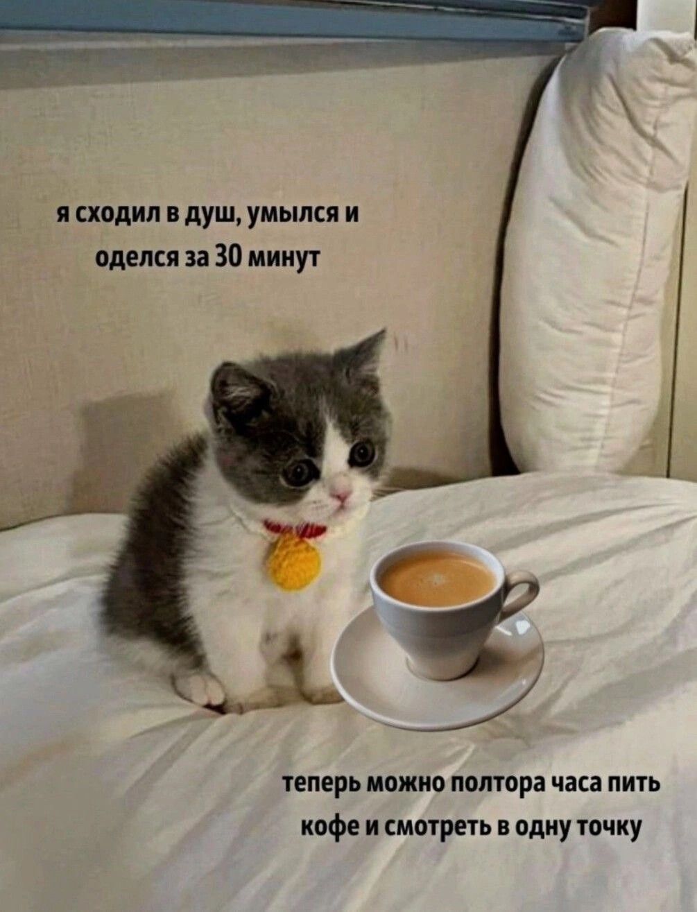 я сходил в душ, умылся и оделся за 30 минут
теперь можно полтора часа пить кофе и смотреть в одну точку