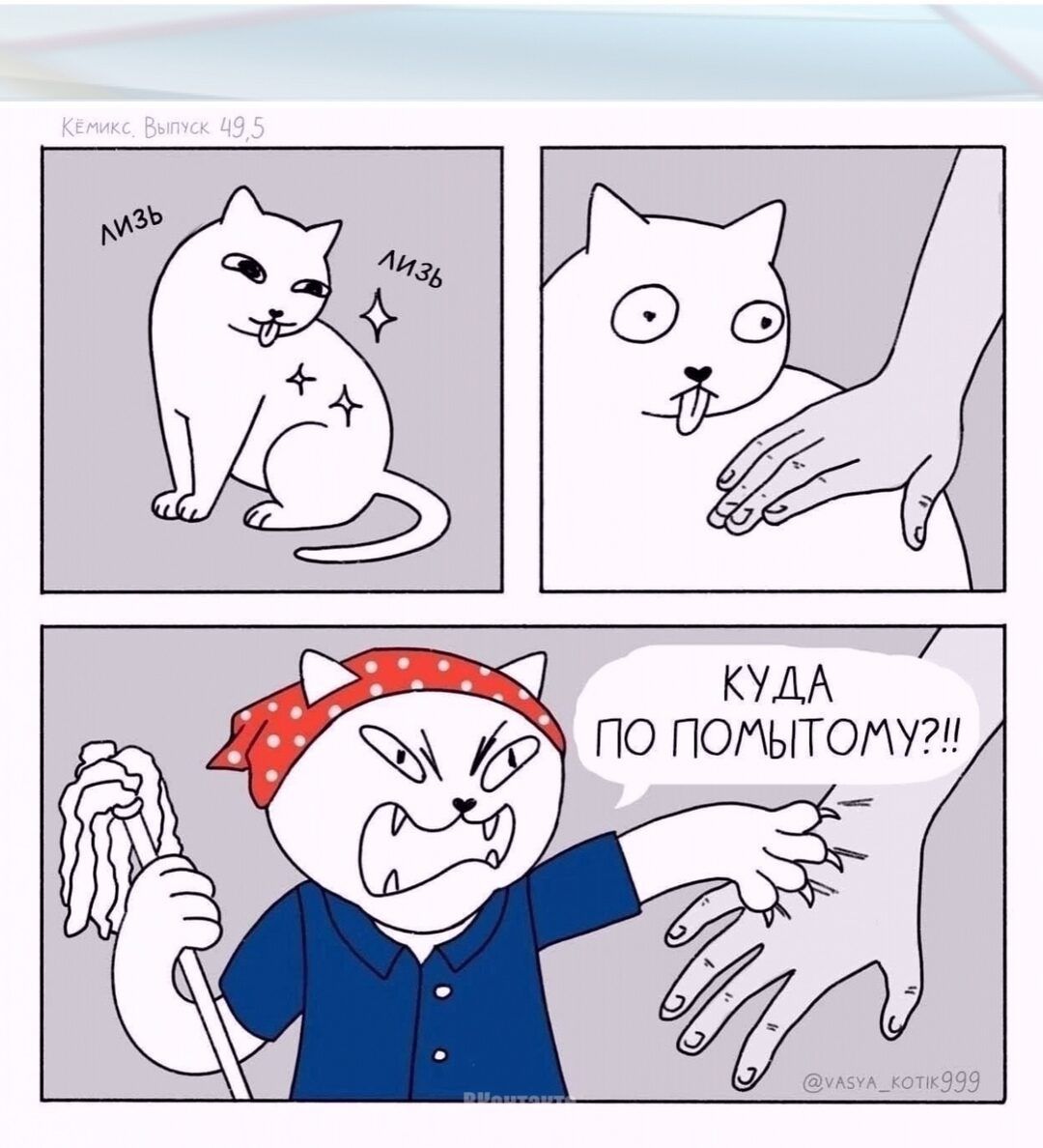 лизь лизь

КУДА ПО ПОМЫТОМУ?!