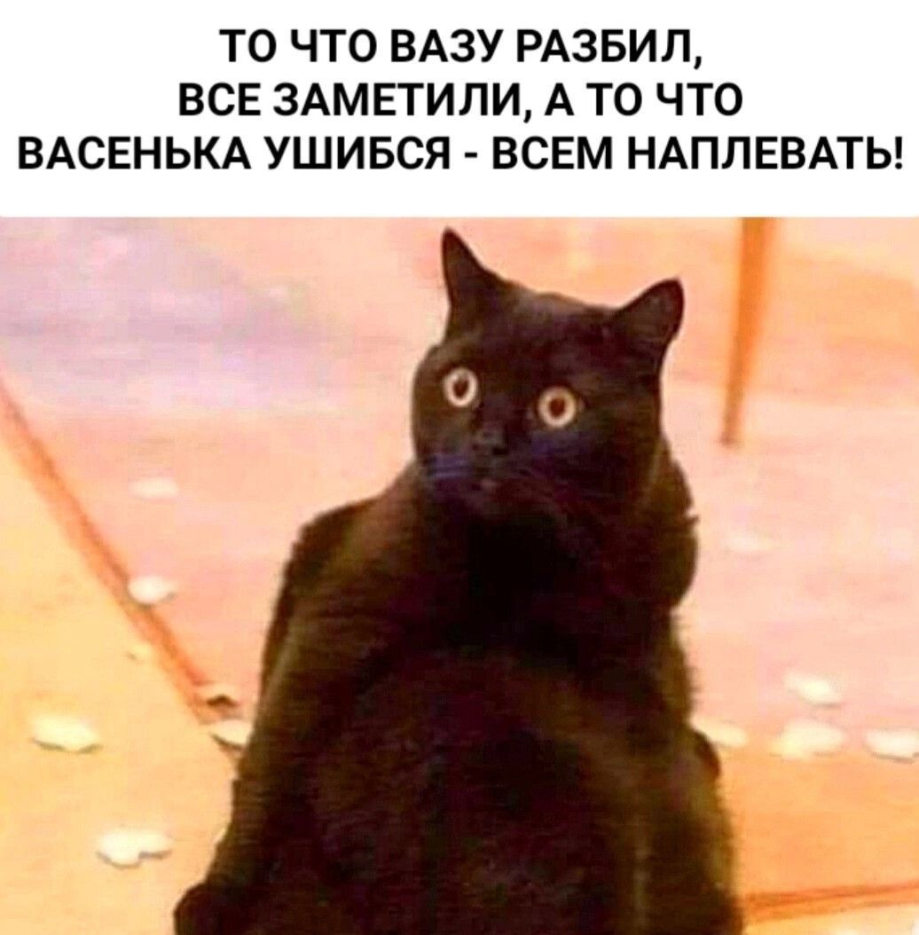 ТО ЧТО ВАЗУ РАЗБИЛ, ВСЕ ЗАМЕТИЛИ, А ТО ЧТО ВАСЕНЬКА УШИБСЯ - ВСЕМ НАПЛЕВАТЬ!