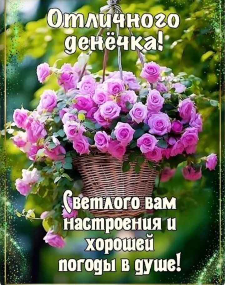Отличного денёчка! Светлого вам настроения и хорошей погоды в душе!