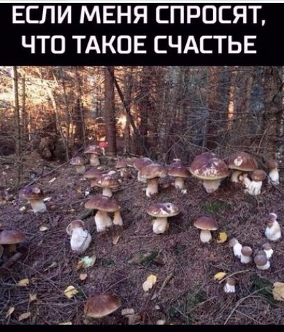 ЕСЛИ МЕНЯ СПРОСЯТ, ЧТО ТАКОЕ СЧАСТЬЕ