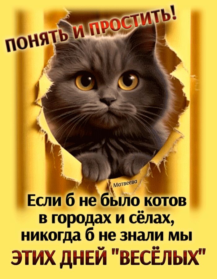 ПОНЯТЬ И ПРОСТИТЬ! Если б не было котов в городах и сёлах, никогда б не знали мы ЭТИХ ДНЕЙ 