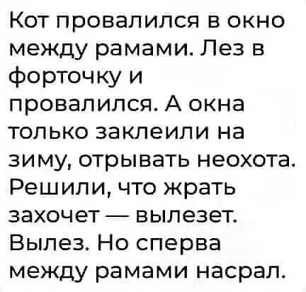 Кот провалился в окно между рамами. Лез в форточку и провалился. А окна только заклеили на зиму, отрывать неохота. Решили, что жрать захочет — вылезет. Вылез. Но сперва между рамами насрал.