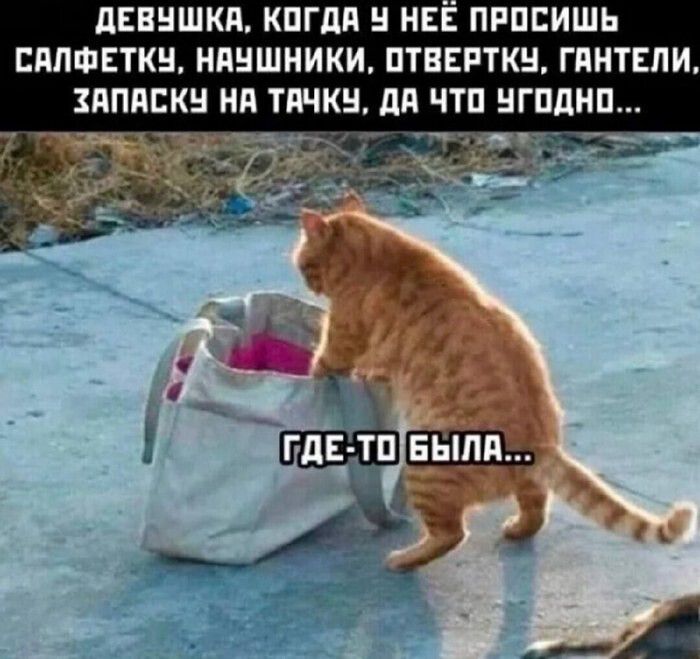 Девушка, когда у неё просишь салфетку, наушники, отвертку, гантели, запаску на тачку, да что угодно...
Где-то была...