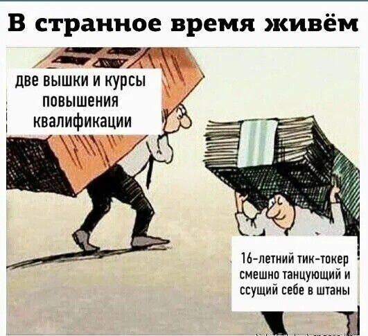 В странное время живём.
две вышки и курсы повышения квалификации
16-летний тик-токер смешно танцующий и сушящий себе в штаны