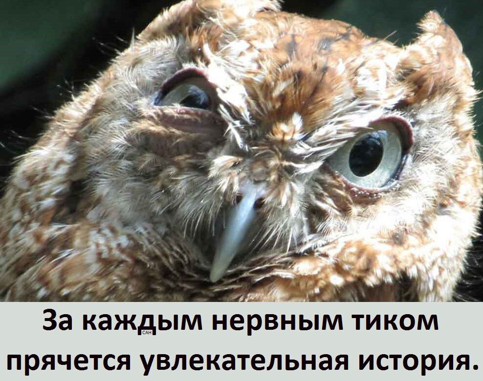 За каждым нервным тиком прячется увлекательная история.