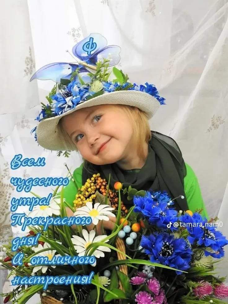 Всем чудесного утра! Прекрасного дня! И отличного настроения!