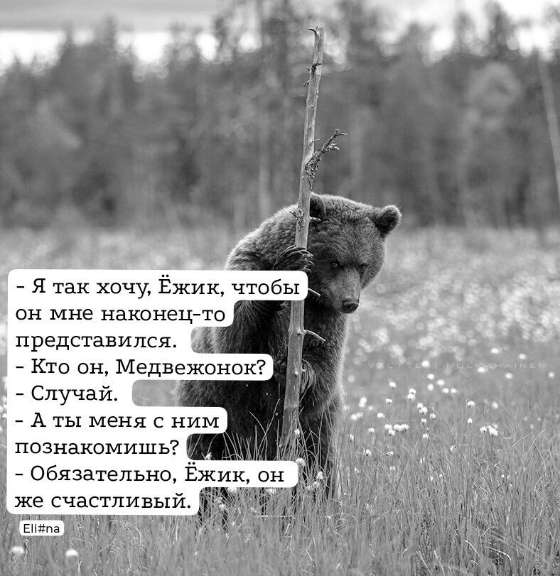 Я так хочу, Ёжик, чтобы он мне наконец-то представился. - Кто он, Медвежонок? - Случай. - А ты меня с ним познакомишь? - Обязательно, Ёжик, он же счастливый.