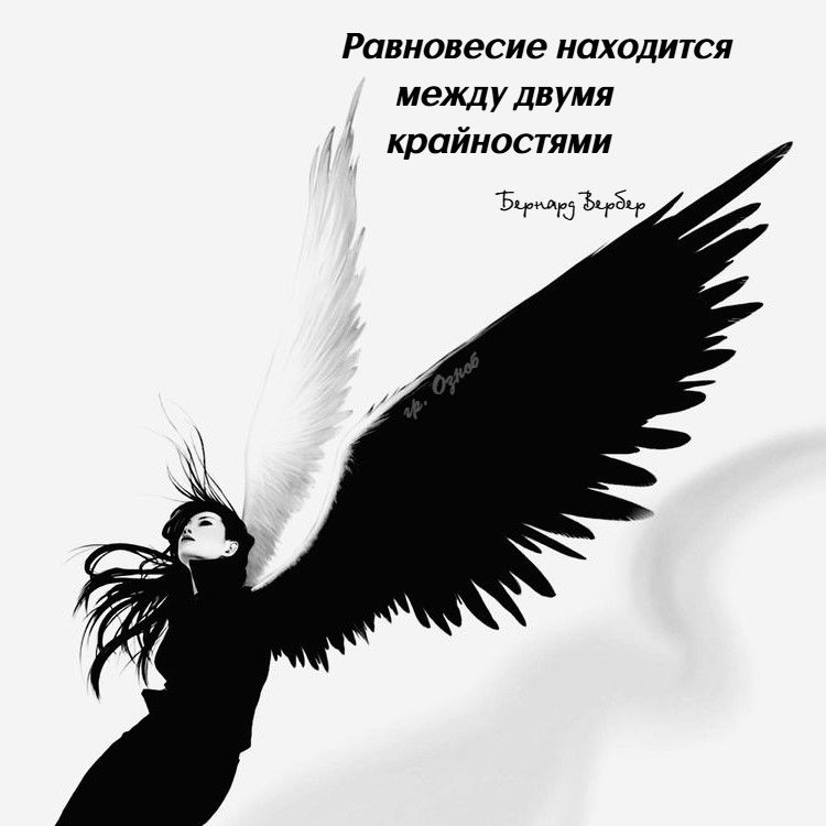 Равновесие находится между двумя крайностями.

Бернард Зивер