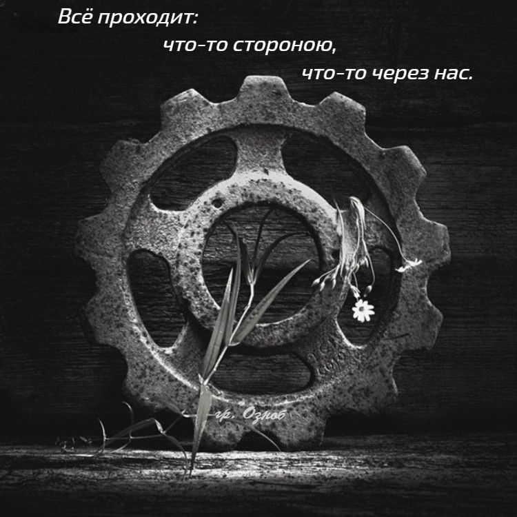 Всё проходит: что-то стороной, что-то через нас.