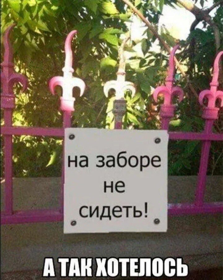 на заборе не сидеть! А так хотелось
