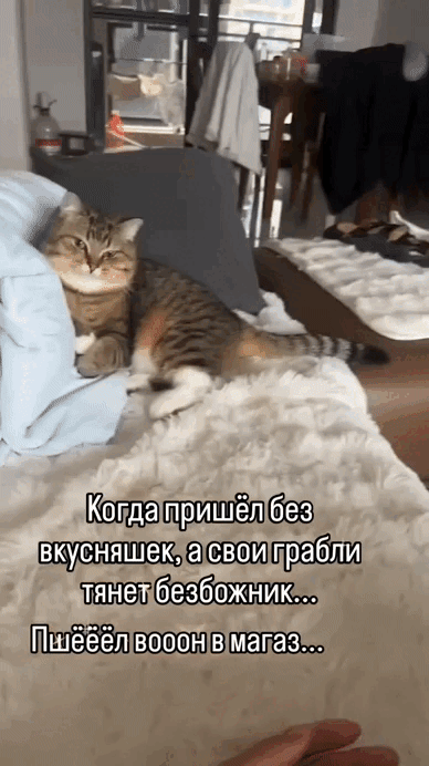 Когда пришёл без вкусняшек, а свои грабли тянет безбожник... Пшёёл воон в магаз...
