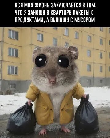 ВСЯ МОЯ ЖИЗНЬ ЗАКЛЮЧАЕТСЯ В ТОМ, ЧТО Я ЗАНОШУ В КВАРТИРУ ПАКЕТЫ С ПРОДУКТАМИ, А ВЫНОШУ С МУСОРОМ