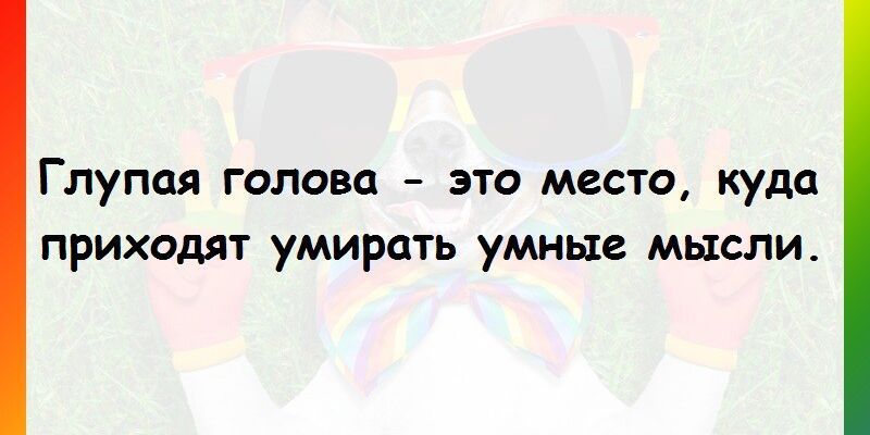Глупая голова – это место, куда приходят умирать умные мысли.