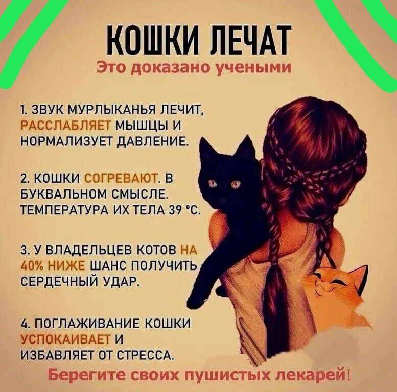 КОШКИ ЛЕЧАТ
Это доказано учеными
1. ЗВУК МУРЛЫКАНИЯ ЛЕЧИТ, РАССЛАБЛЯЕТ МЫШЦЫ И НОРМАЛИЗУЕТ ДАВЛЕНИЕ.
2. КОШКИ СОГРЕВАЮТ. В БУКВАЛЬНОМ СМЫСЛЕ. ТЕМПЕРАТУРА ИХ ТЕЛА 39°С.
3. У ВЛАДЕЛЬЦЕВ КОТОВ НА 40% НИЖЕ ШАНС ПОЛУЧИТЬ СЕРДЕЧНЫЙ УДАР.
4. ПОГЛАЖИВАНИЕ КОШКИ УСПОКАИВАЕТ И ИЗБАВЛЯЕТ ОТ СТРЕССА.
БЕРЕГИТЕ СВОИХ ПУШИСТЫХ ЛЕКАРЕЙ!
