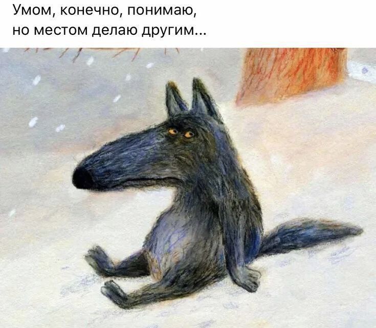 Умом, конечно, понимаю, но местом делаю другим...