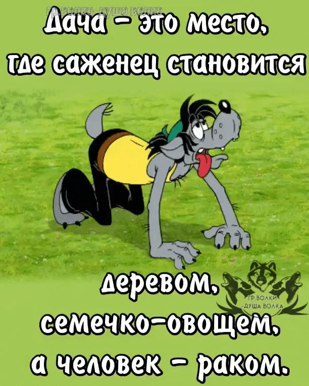 Дача – это место, где саженец становится деревом, семечко-овощем, а человек – раком.