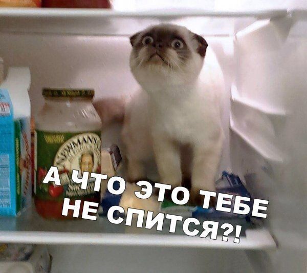 А ЧТО ЭТО ТЕБЕ НЕ СПИТСЯ?!