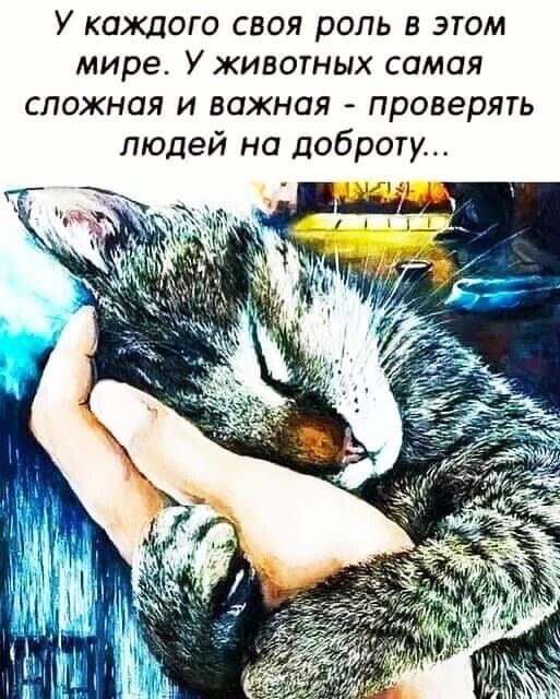 У каждого своя роль в этом мире. У животных самая сложная и важная - проверять людей на доброту...