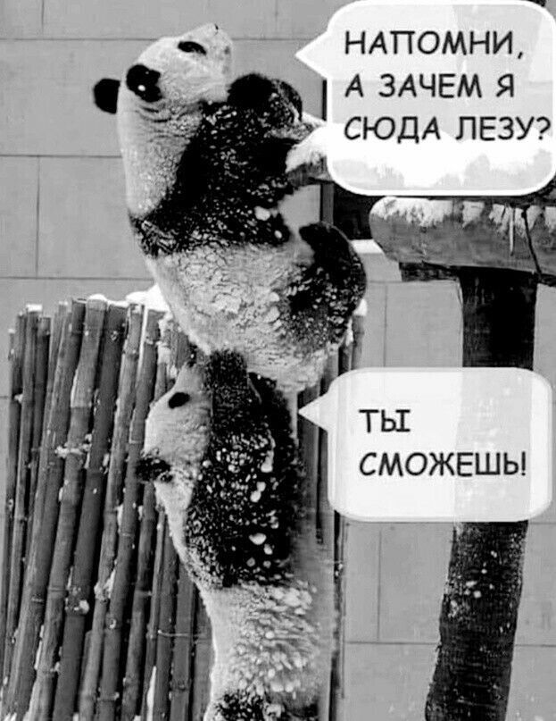 НАТОМНИ, А ЗАЧЕМ Я СЮДА ЛЕЗУ? ТЫ СМОЖЕШЬ!